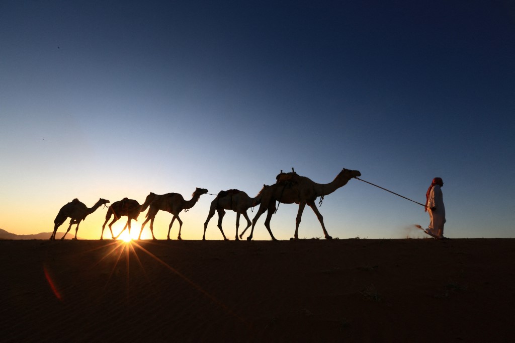 Les bédouins récitent souvent de la poésie à dos de chameau dans le désert (AFP)