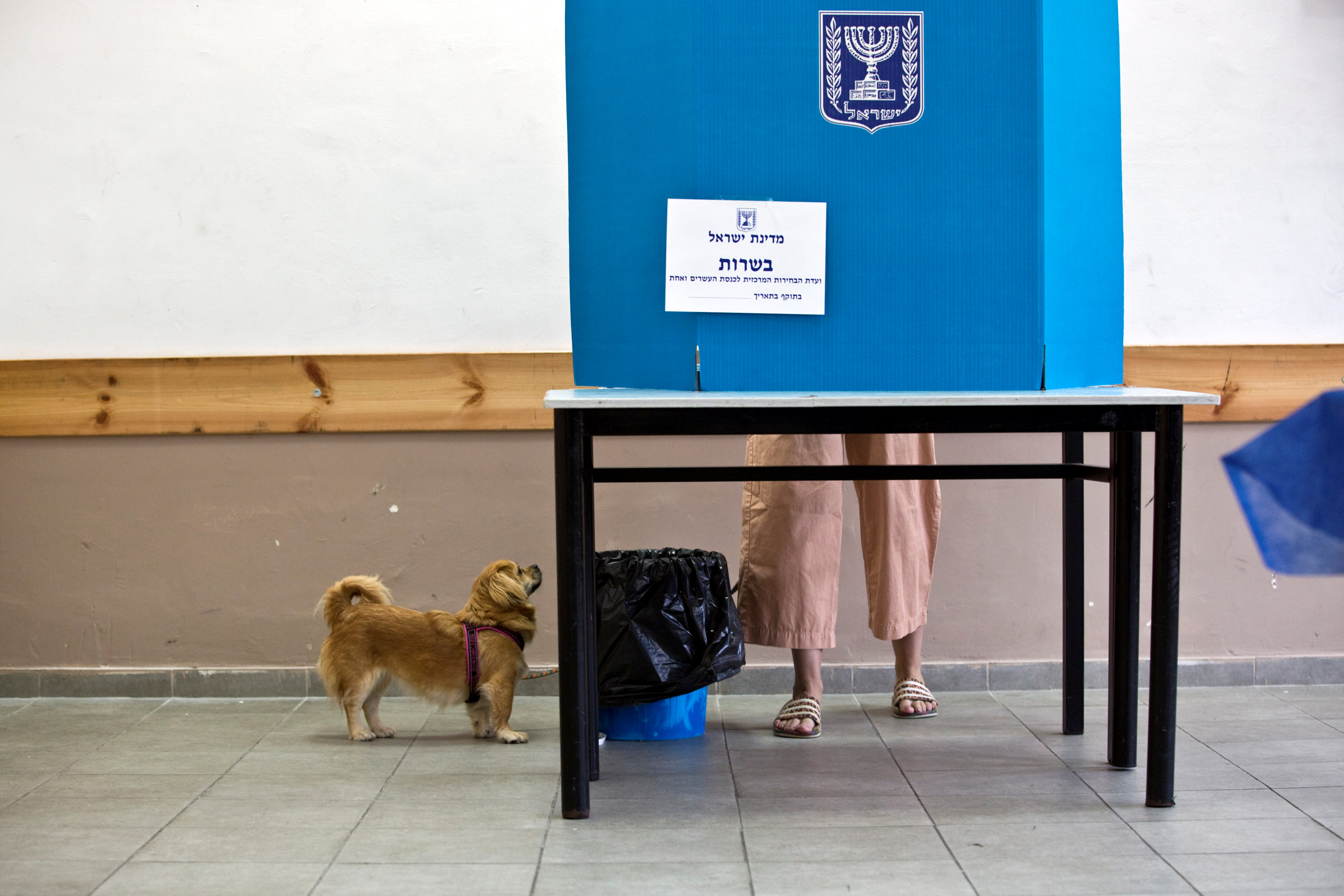 A dog stands next to it's owner as she stands behind a voting booth as Israelis vote in a parliamentary election, at a polling station in Tel Aviv (Reuters)