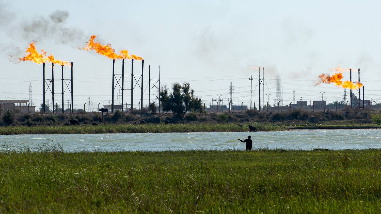 In the book, the battle for Iraq's oil is cleverly told through the Da'bul's story (Hussein Faleh/AFP)