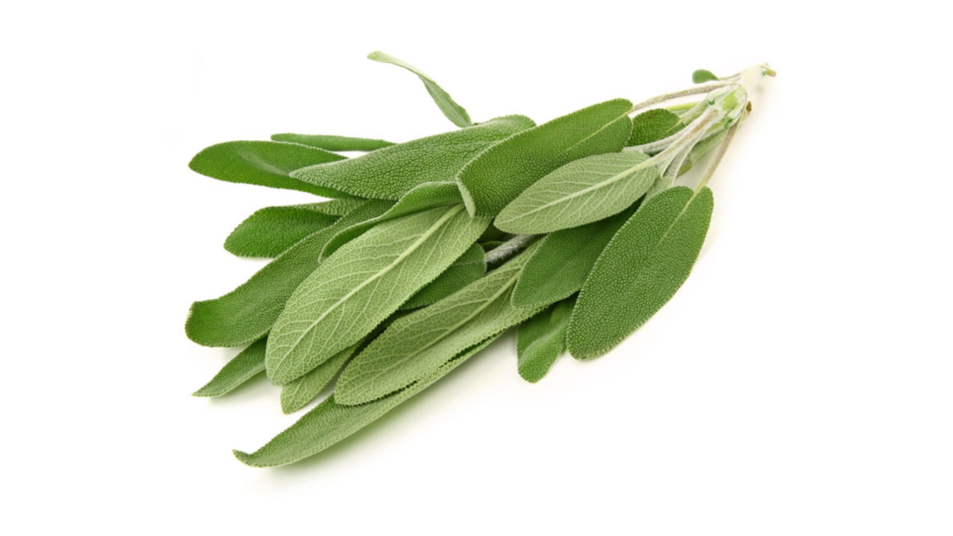 Maramyah is used as a sedative and can also heal skin wounds (MEE)