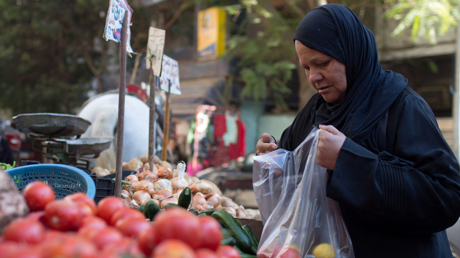 egypt woman market jan 2023