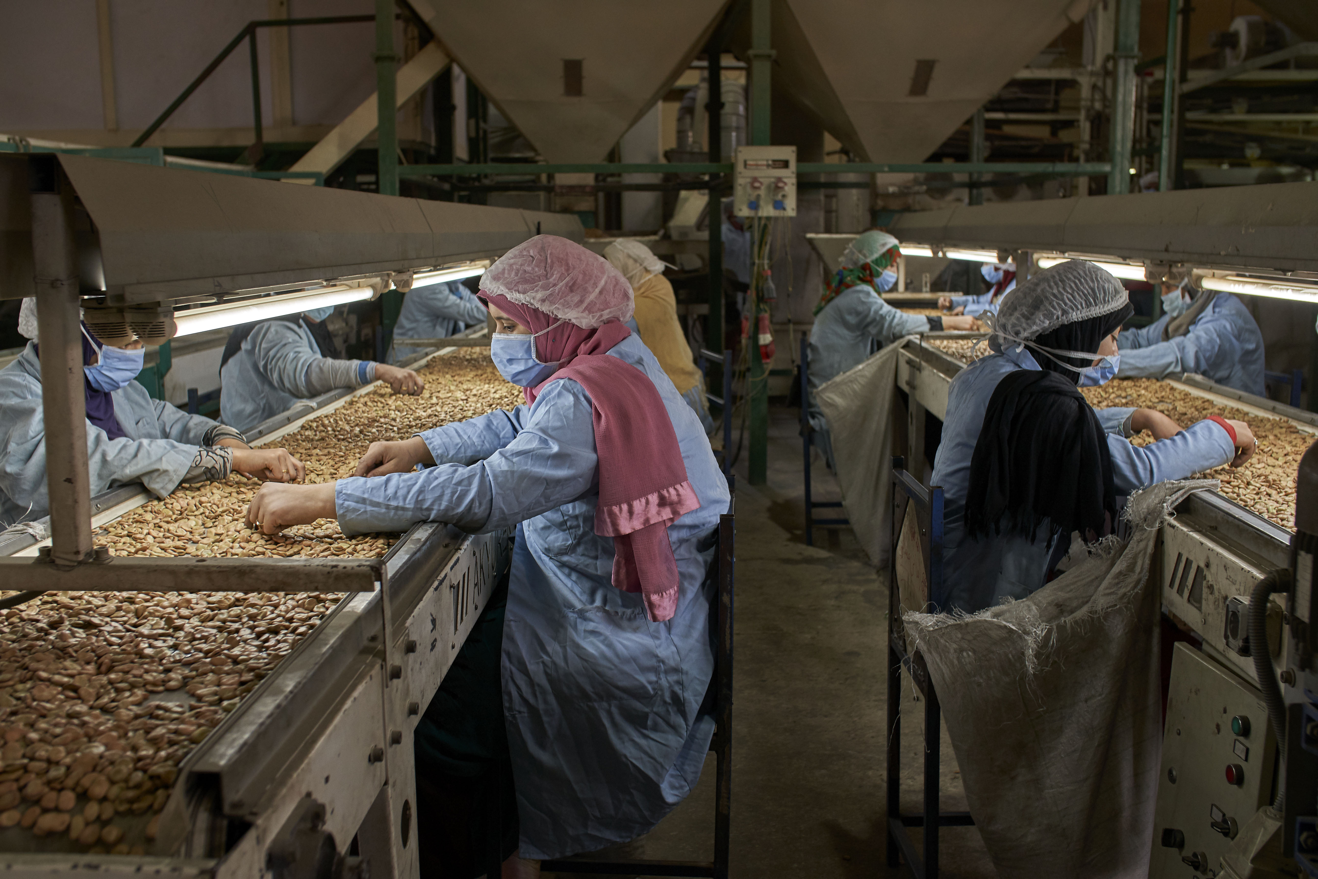 Des employés de l’usine Habba Habba prélèvent à la main les fèves impropres à la consommation dans la zone industrielle d’al-Obor au Caire, le 9 avril 2019 (MEE/Hamada Elrasam)
