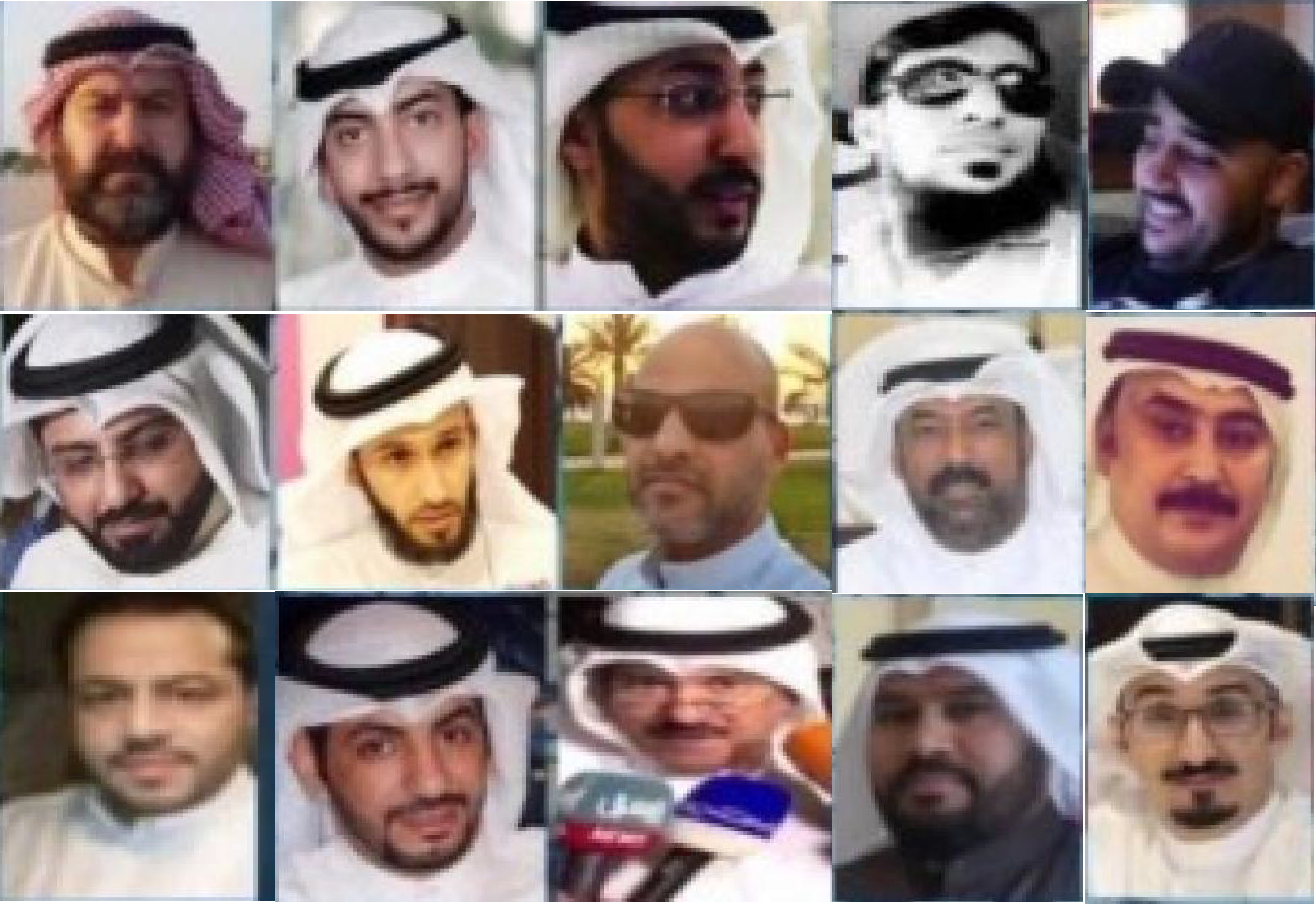 The 15 'bidoons' on hunger strike in Kuwait's Public Prison (GCHR)