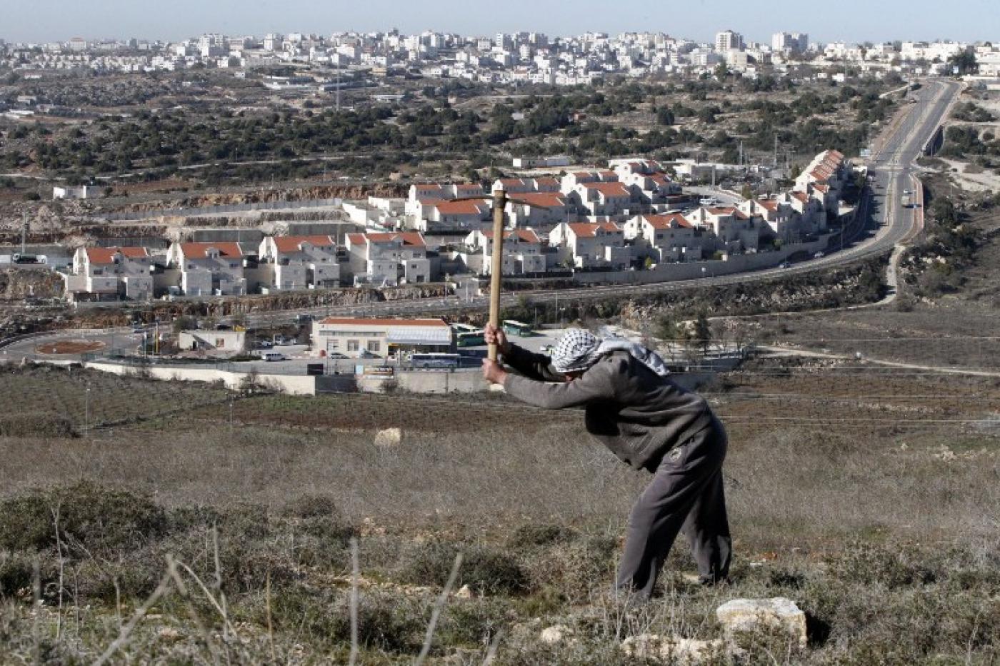 Un paysan palestinien travaille sa terre près d’une colonie israélienne en Cisjordanie occupée (AFP)