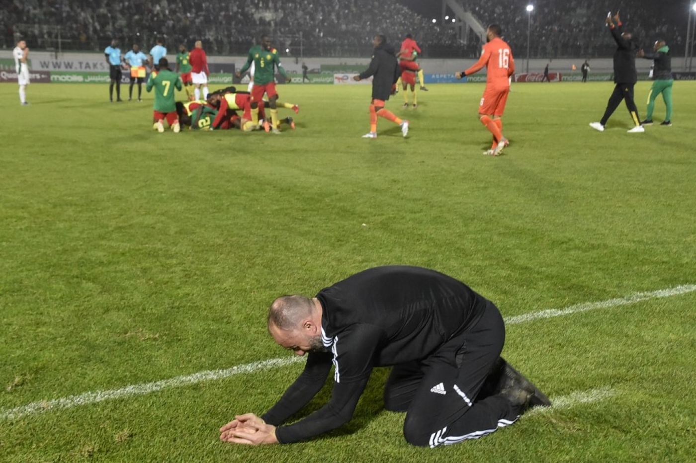 L’entraîneur algérien Djamel Belmadi pleure, à genoux, après la défaite de l’Algérie face au Cameroun, le 29 mars 2022 à Blida, au sud d’Alger (AFP)