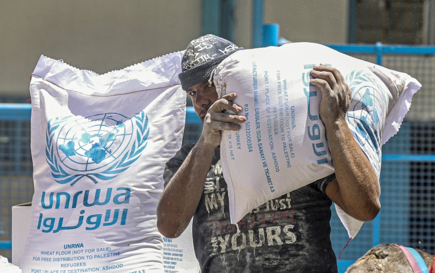 Palestinians receive their monthly food rations from the United Nations Relief and Works Agency (Unrwa) warehouse in Khan Younis in the southern Gaza Strip on 14 June 2022 (AFP)