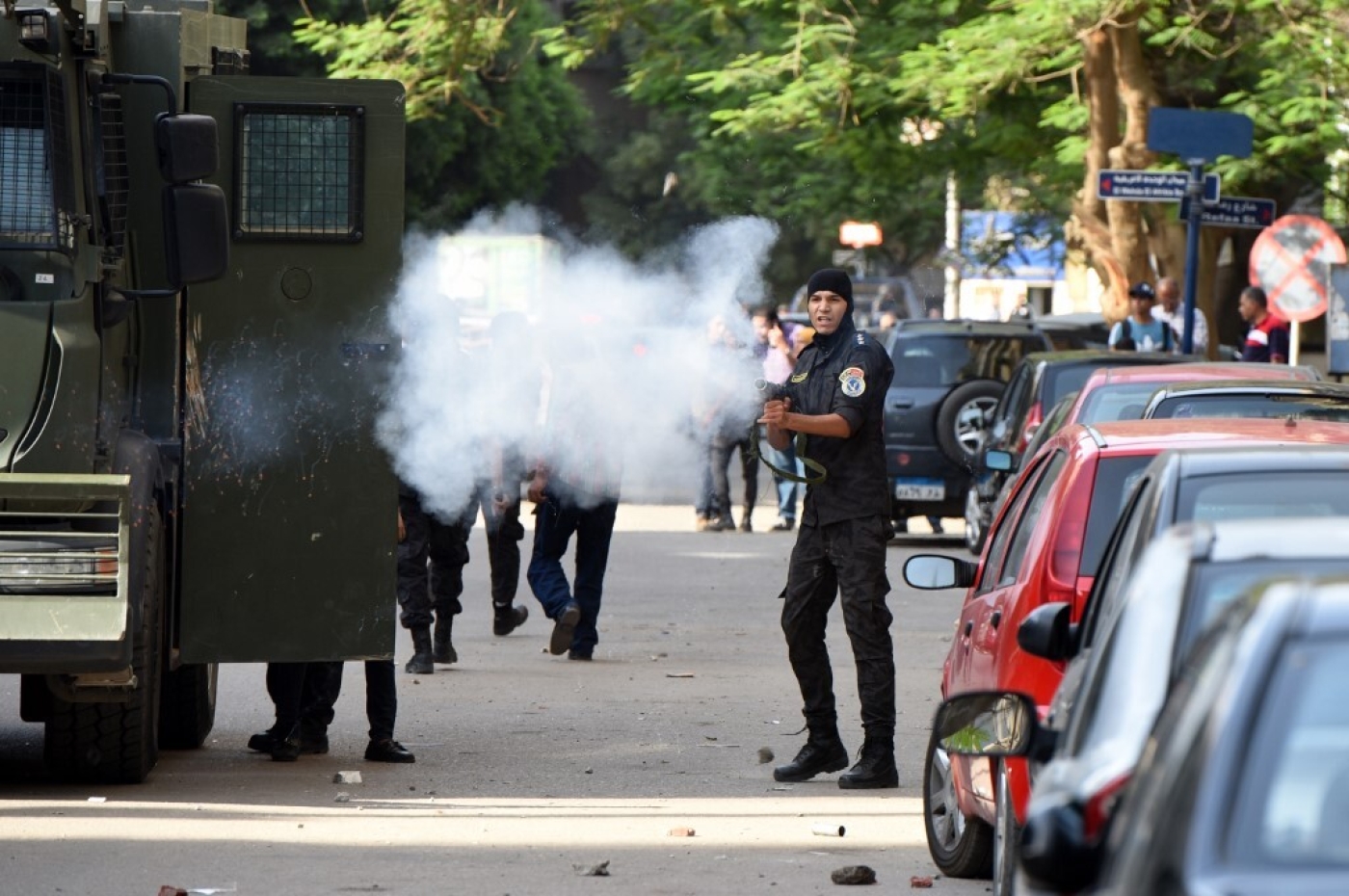 Egypt: At least one protester killed in anti-Sisi protests, hundreds  detained | Middle East Eye