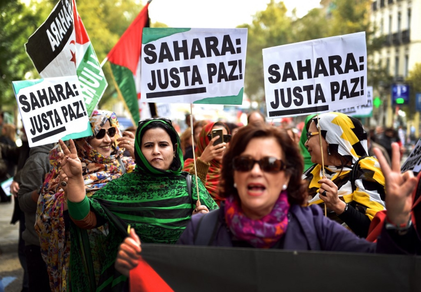 Des militants pour l’indépendance du Sahara occidental agitent des drapeaux et des banderoles lors d’une manifestation à Madrid en 2016 (AFP/Gérard Julien)