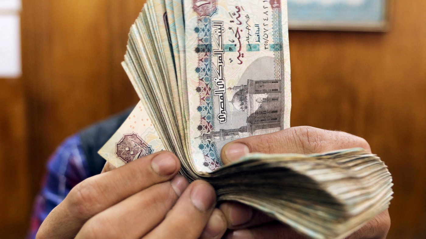 Egypt's pound hits new lows after shift to more flexible forex regime (Reuters)