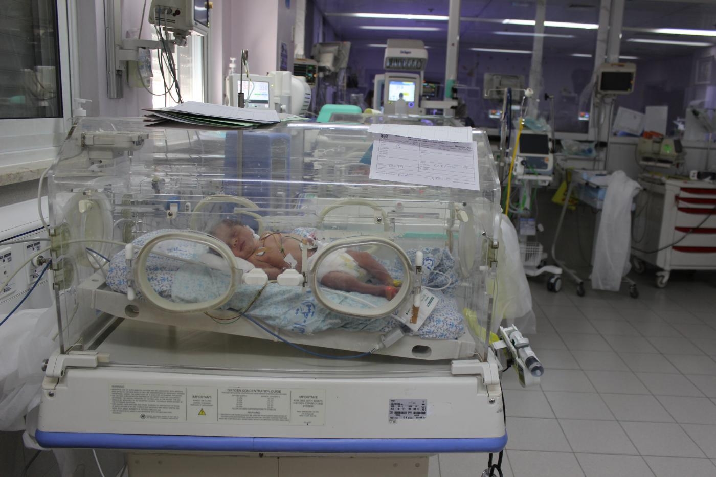 Un nouveau-né dans le service des prématurés de l’hôpital al-Makassed à Jérusalem-Est (MEE/Aseel Jundi)