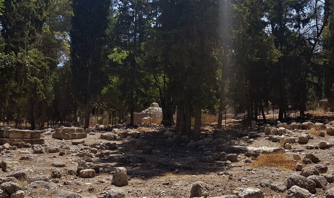 Le sanctuaire d’Abu Ubayda, seul vestige d’Amwas encore debout, après que le village palestinien a été rasé par Israël en 1967. Il est visible à l’entrée du parc Ayalon, près de Jérusalem ; des arbres plantés par le Fonds national juif recouvrent les ruines (MEE/Clothilde Mraffko)