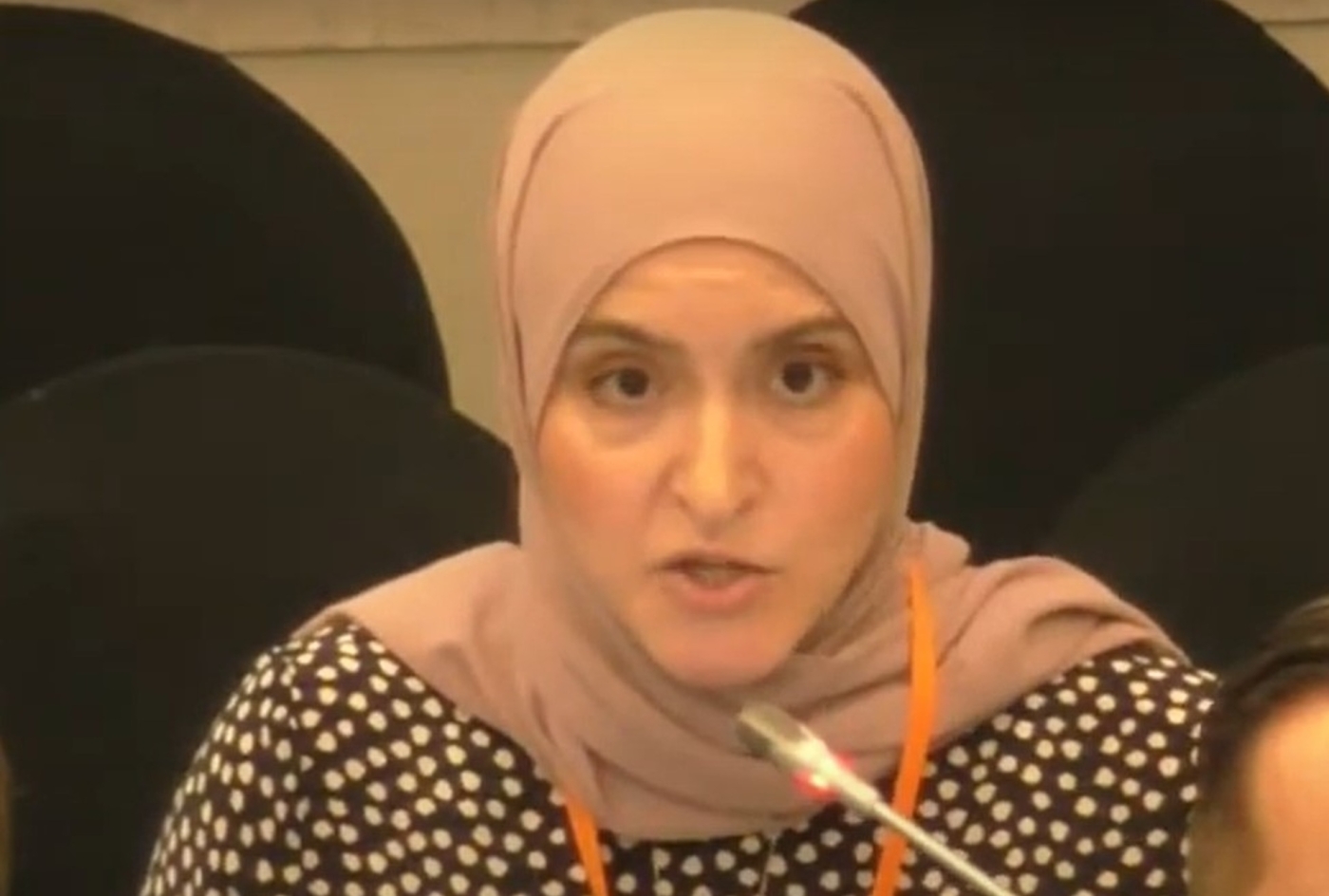 Lamies Nassri said Islamophobia in Denmark was "no longer a far-right issue" (Screengrab)