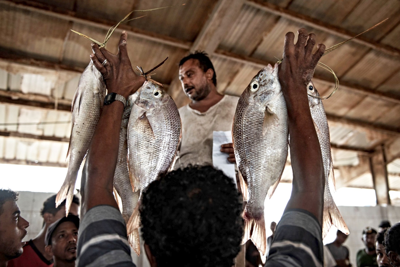 Fish market in Hodeidah, Yemen (Alessio Romenzi)