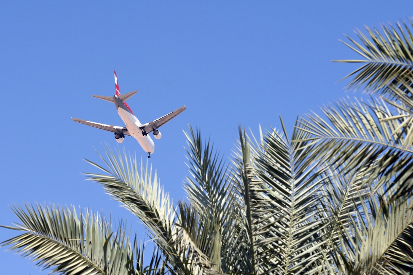 Самолеты россия летают в египет. Полет в Египет. Самолеты которые летают на шарма Шейх. Фото самолетов летающих в Египет. Лечу в Египет фото самолета.