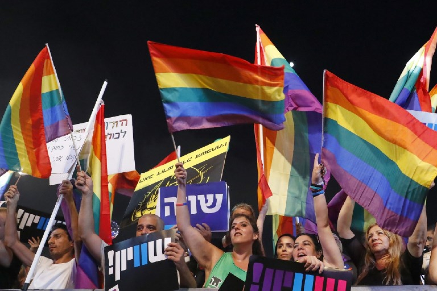 Israel's LGBT community protests for fathers' surrogacy ...
