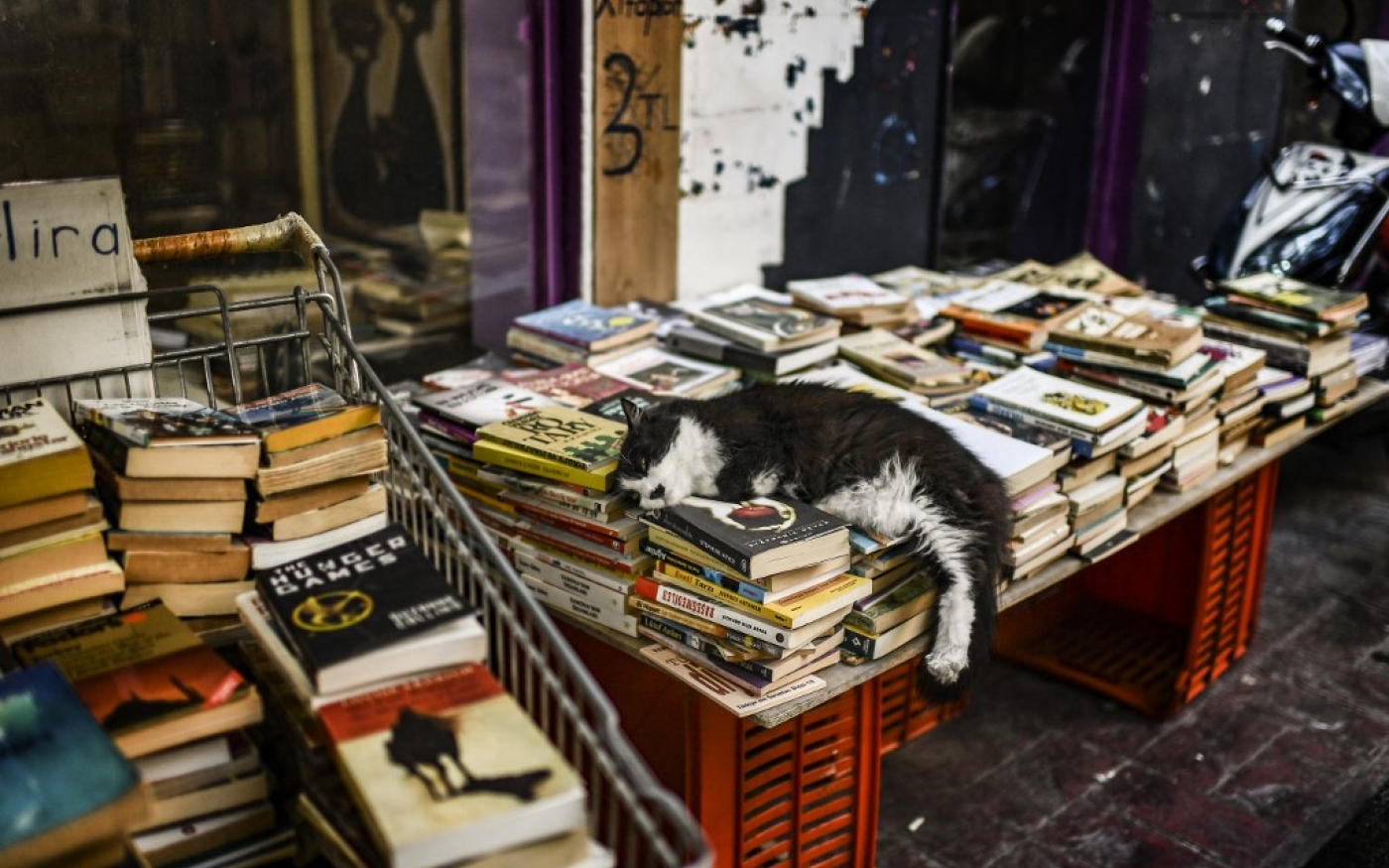 Un chat se repose sur une pile de livres, dans une rue d’Istanbul (AFP/Aris Messinis)
