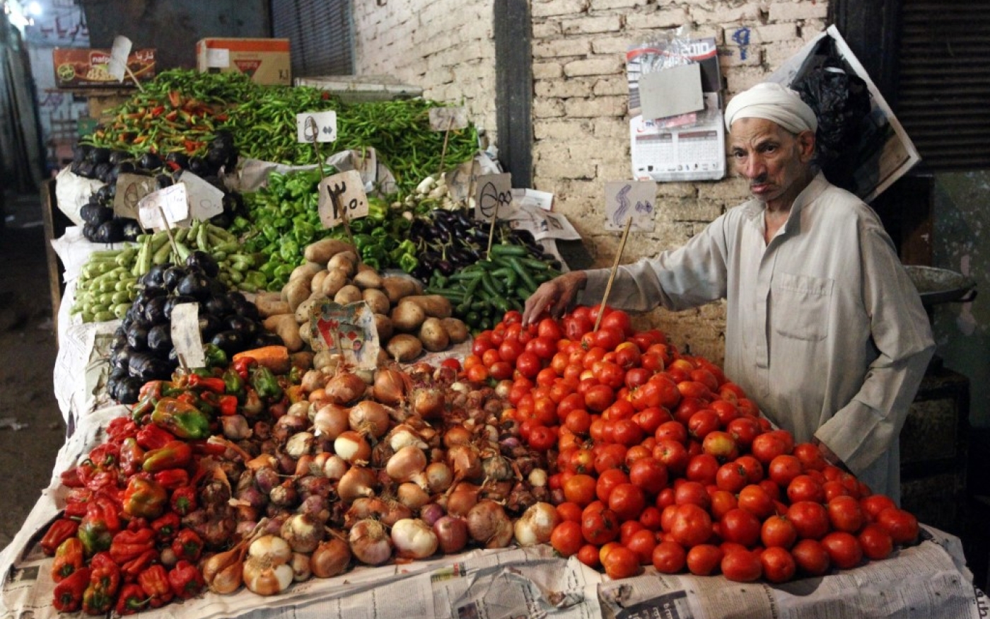 Selon l’ONU, environ 50 % de la production égyptienne de tomates est jetée chaque année (AFP)