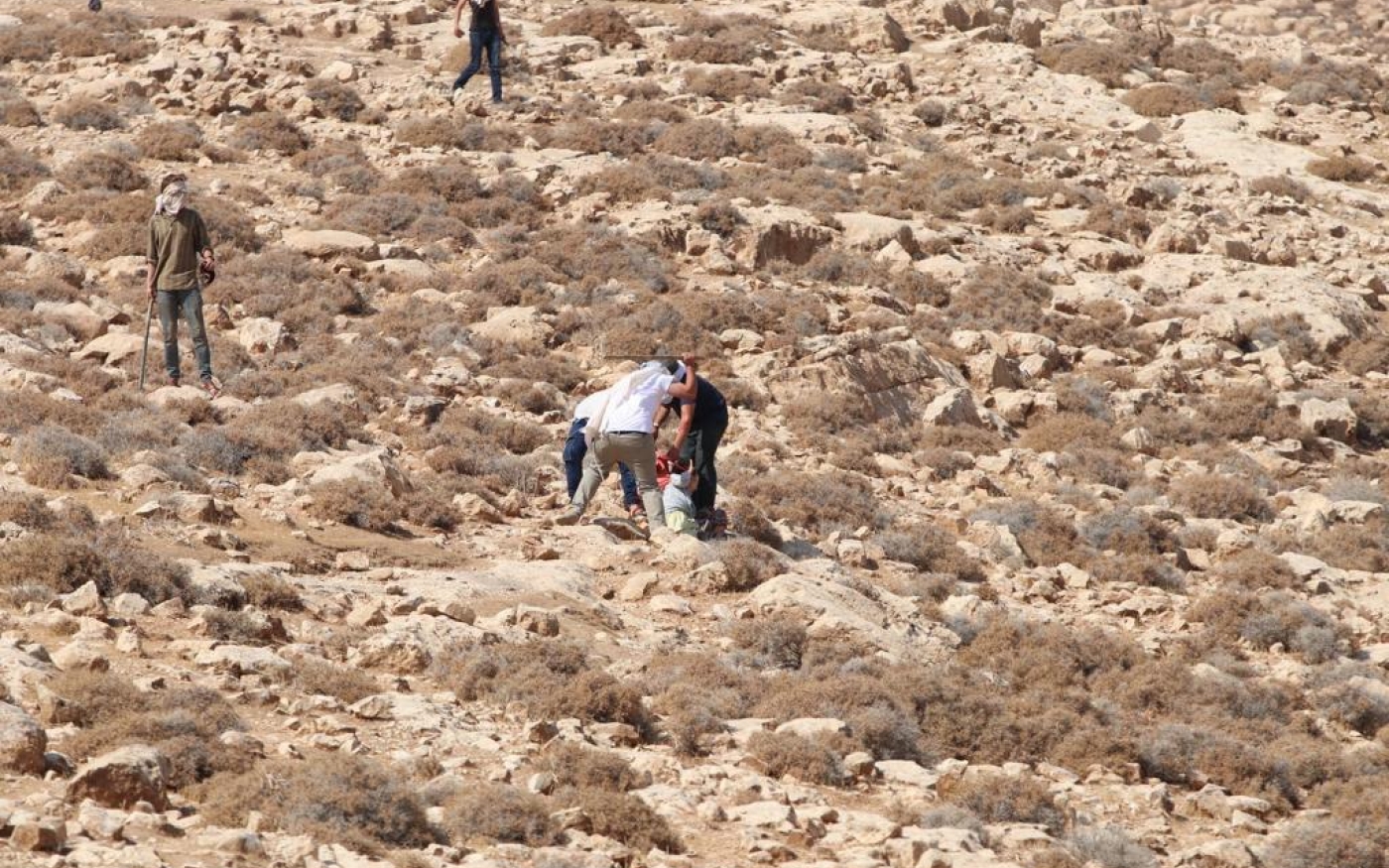 Des colons prennent à partie une volontaire de la campagne de récolte Faz3a lors d’une attaque contre le village de Kisan, au sud de Bethlehem, le 19 octobre (Faz3a Campaign Media)