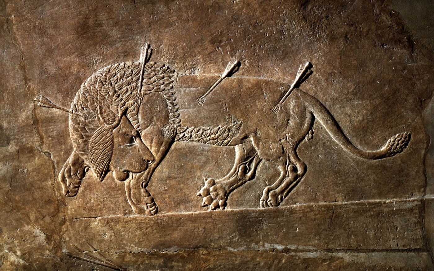 Cette représentation de lion datant de la dynastie iranienne des Kadjar est l’un des millions d’objets issus des galeries du British Museum consultables en ligne (© The Trustees of the British Museum)