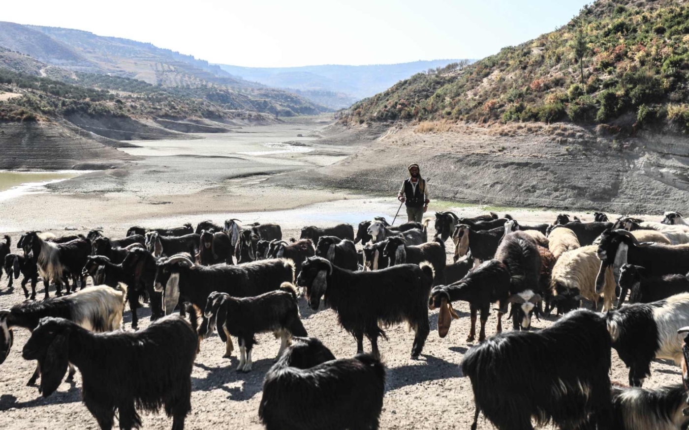 Avant de s’assécher, le lac d’al-Duwaisat était une source d’eau importante pour le bétail (MEE/Izzeddin Kasim)