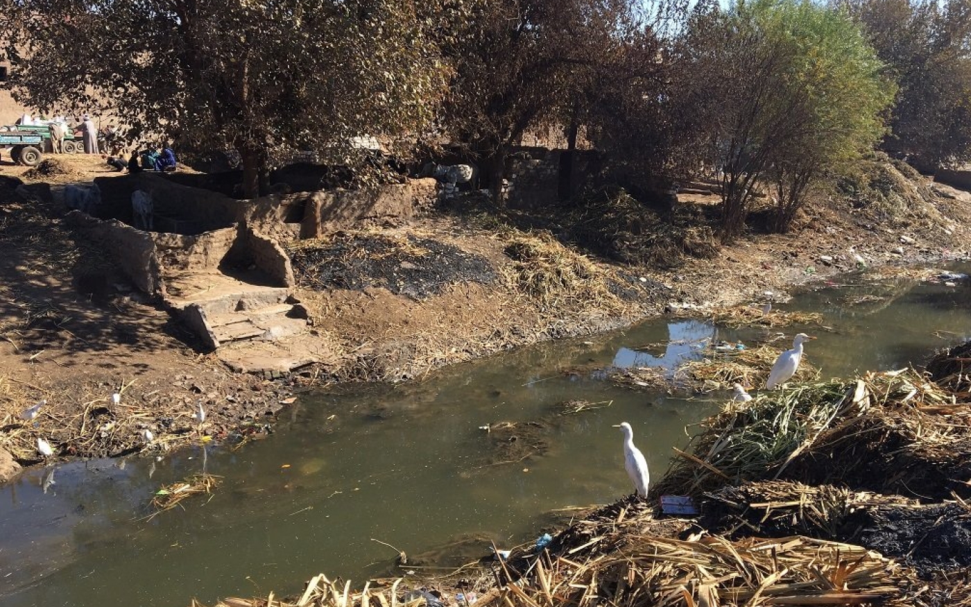 Canal rempli d’eaux usées et d’ordures, à al-Minya, en Égypte (MEE/Mohamed Mahmoud)