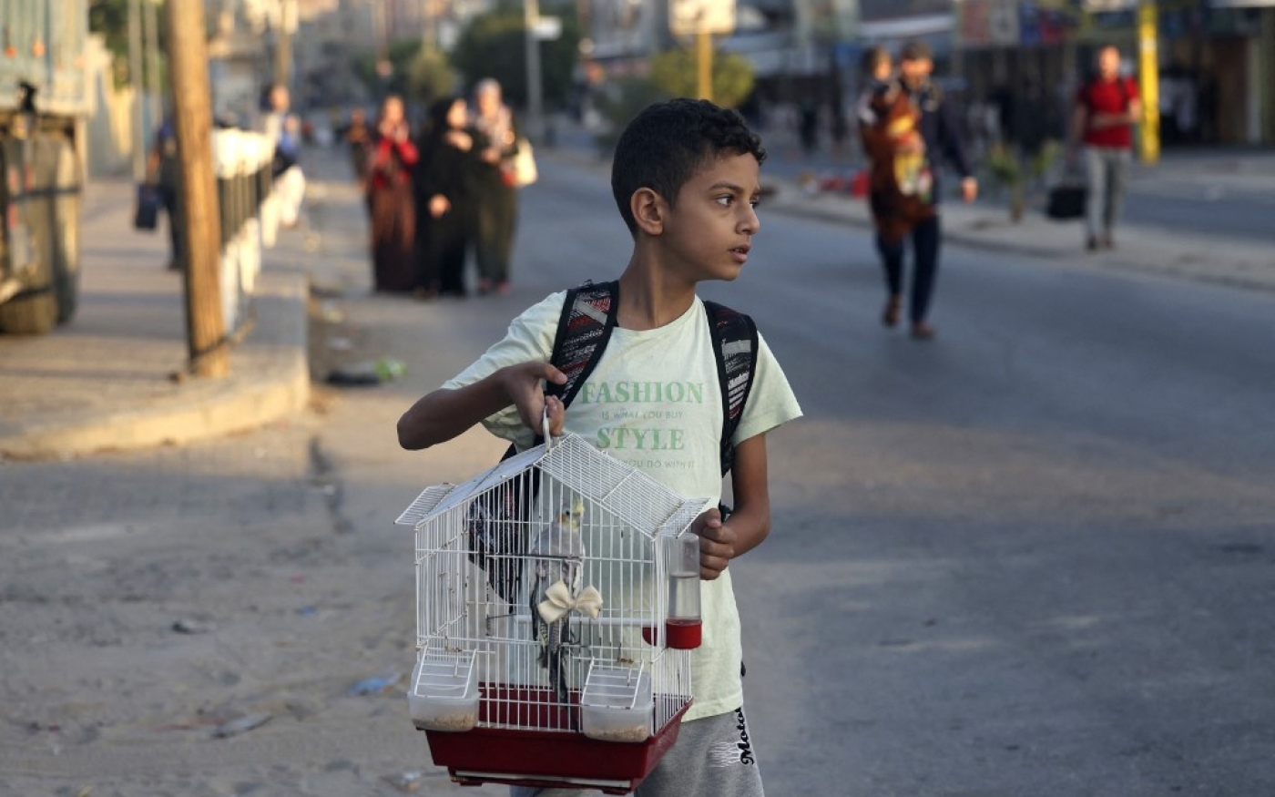 Un garçon palestinien porte son oiseau de compagnie dans une cage alors que les familles quittent leurs maisons après une attaque israélienne contre le camp de réfugiés de Rafah, dans le sud de la bande de Gaza, le 15 octobre 2023 (AFP/Mohammed Abed)