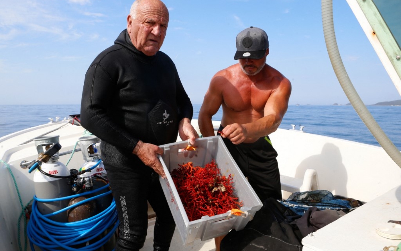 Des plongeurs montrent leurs prises de corail au large d’Ajaccio, en Corse, dans un contexte de pêche réglementée à plus de 50 mètres de profondeur pour permettre aux plongeurs amateurs d’observer les invertébrés marins (AFP/Pascal Pochard-Casabianca)