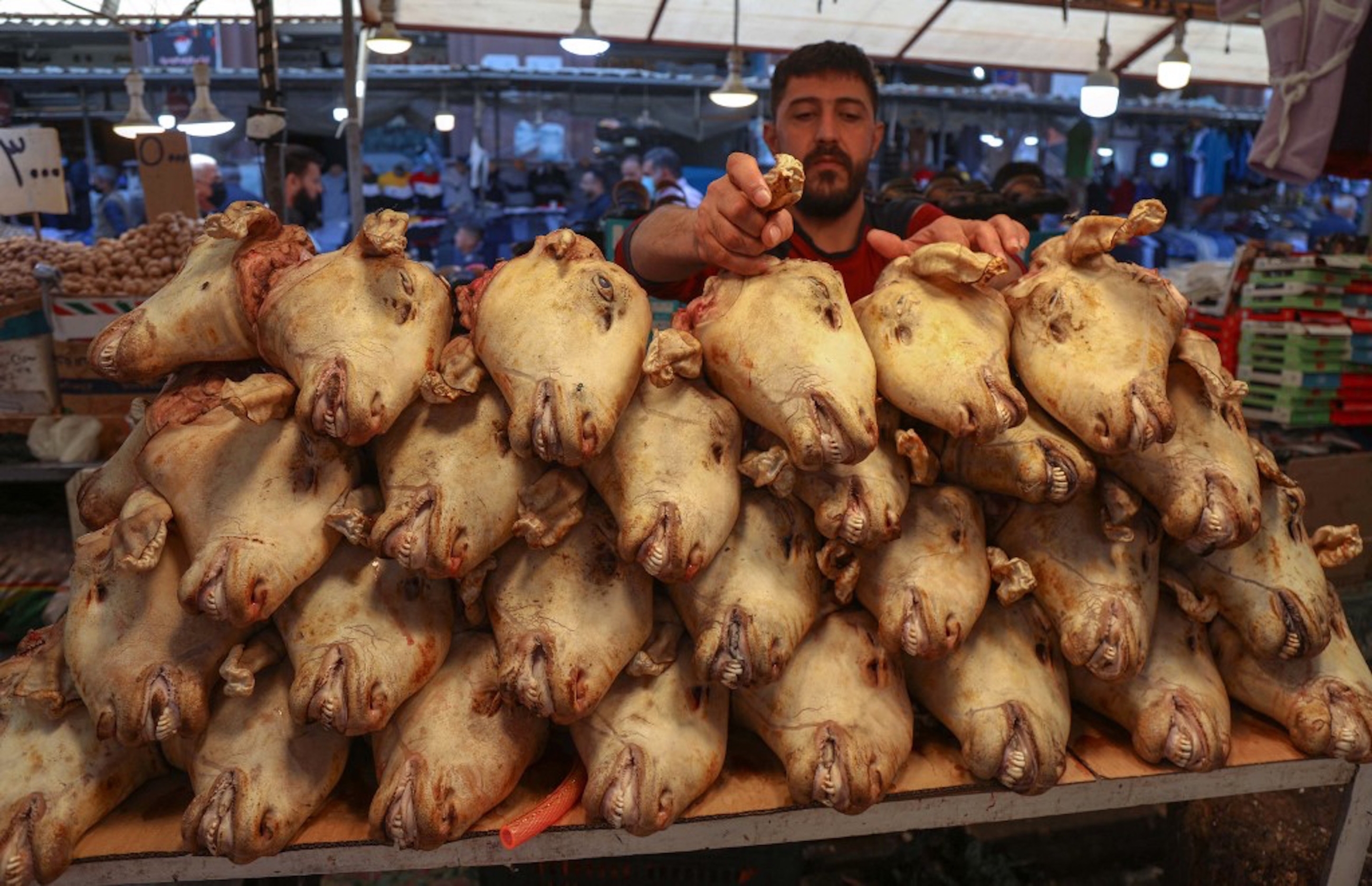 IRAK. Un boucher kurde irakien empile des têtes de moutons pour les vendre sur un marché d’Erbil, le 15 avril 2021 (AFP)