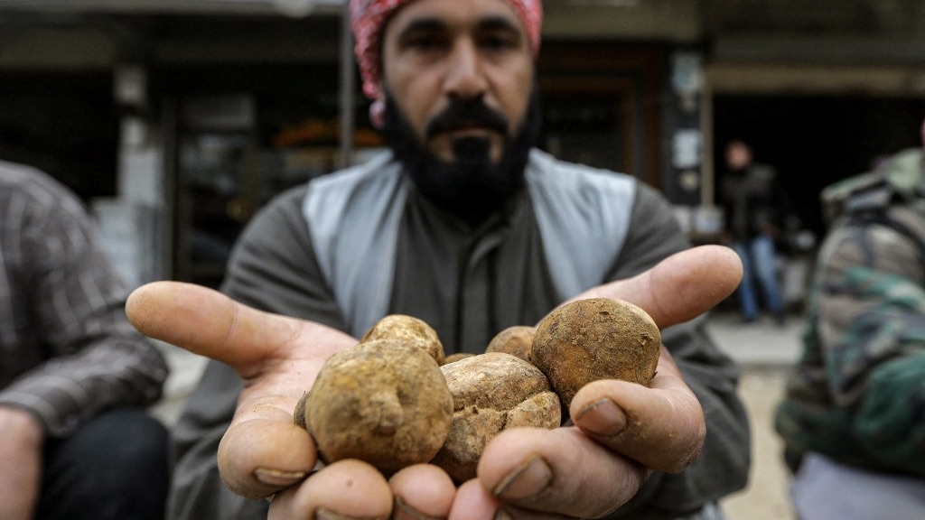 A merchant presents desert truffles at a stall in a market in the city of Hama in west-central Syria on 6 March 2023 (AFP)
