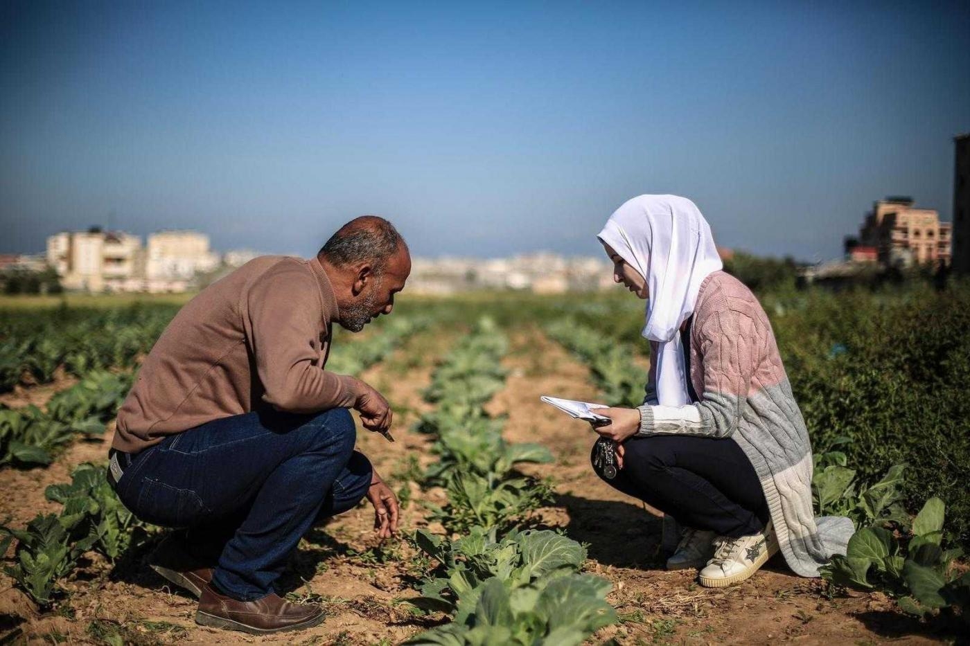 Maha Hussaini interviewe un fermier palestinien dans la bande de Gaza (MEE/Sanad Latefa)