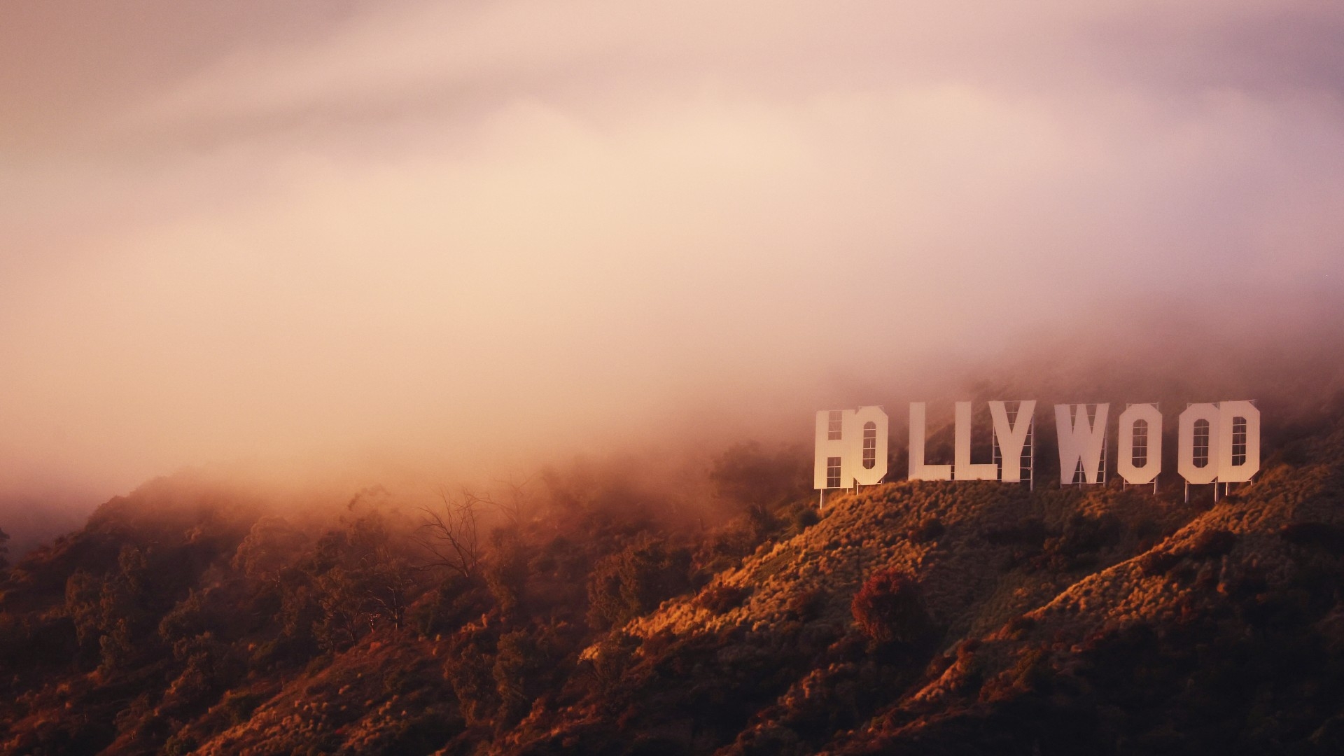 Le panneau Hollywood, à Los Angeles, Californie, le 22 janvier 2024 (Mario Tama/Getty Images/AFP)
