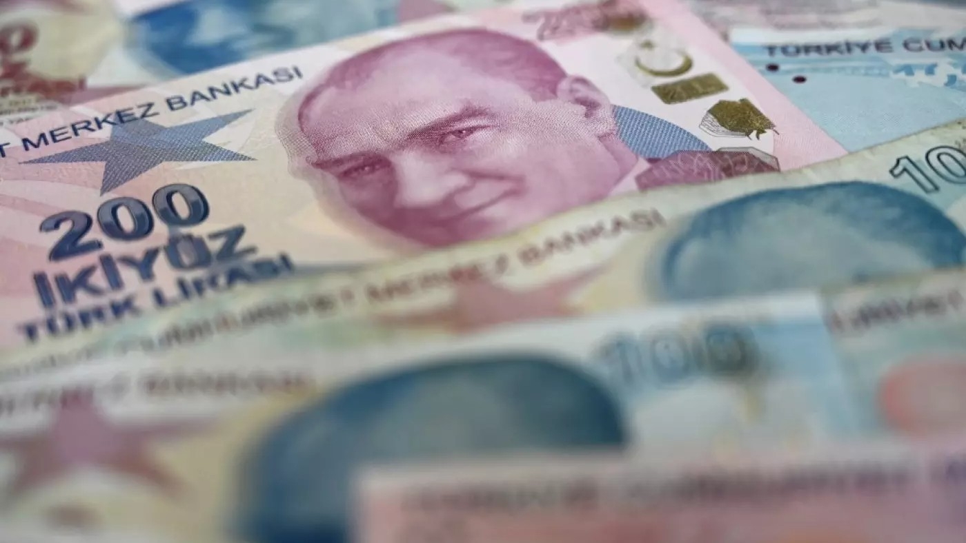 Turkey's public savings programme fails to impress economists