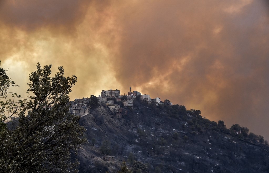 Depuis 2021, la Kabylie est chaque année ravagée par de terribles feux de forêts (AFP/Ryad Kramdi)