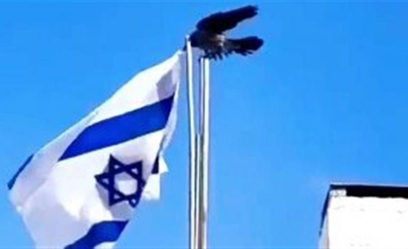 Des corbeaux attaquent le drapeau d'Israël : la Toile s'enflamme