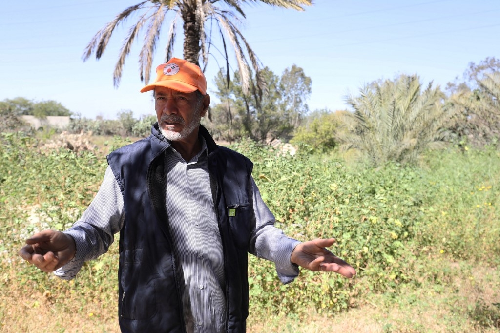 Khalifa Ramadan, le fondateur du groupe de bénévoles « Les amis de l’arbre », dans sa ferme de Tajura, une banlieue est de la capitale Tripoli (AFP/Mahmoud Turkia) 
