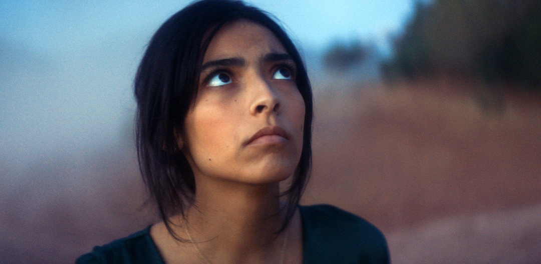 « Animalia de Sofia Alaoui est le plus beau film marocain de cet été et sans conteste l’un des plus originaux et pertinents de l’année » – Roland Carrée (AdVitam)