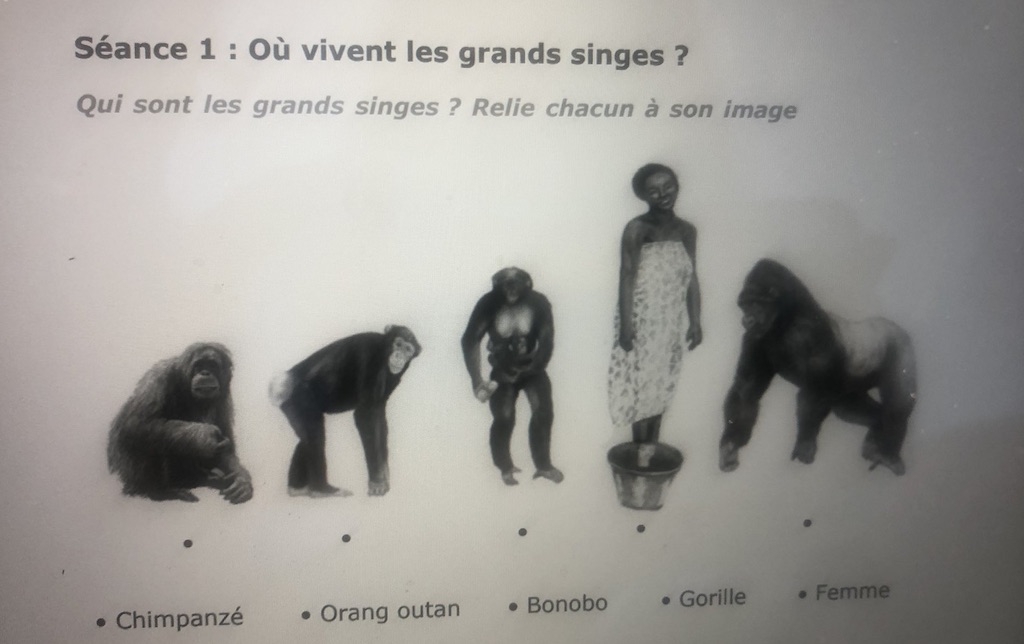 L’auteur du manuel d’où a été extraite la ressource éducative controversée indique qu’elle a été produite au Gabon pour les élèves des écoles locales afin de les accompagner à la protection des grands singes et de leur environnement (Twitter)