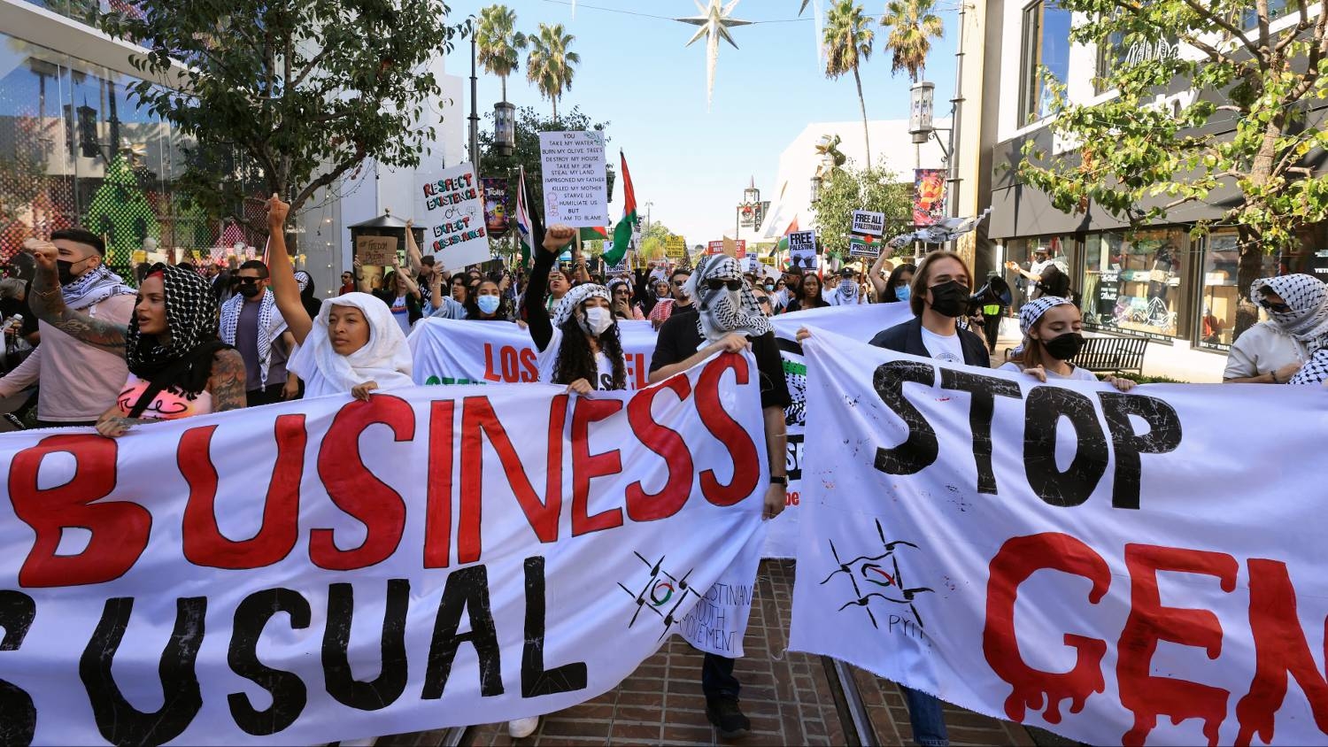 Streets are shut down and shopping is disrupted as pro-Palestinian supporters march through a high-end shopping centre in Los Angeles on 24 November 2023.