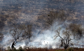 Un Palestinien combat un incendie qui aurait été allumé par des colons israéliens dans une oliveraie en 2019 (AFP)