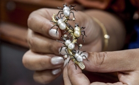 Une broche incrustée de petites perles similaires et pourtant toutes « uniques » (AFP/Mazen Mahdi)