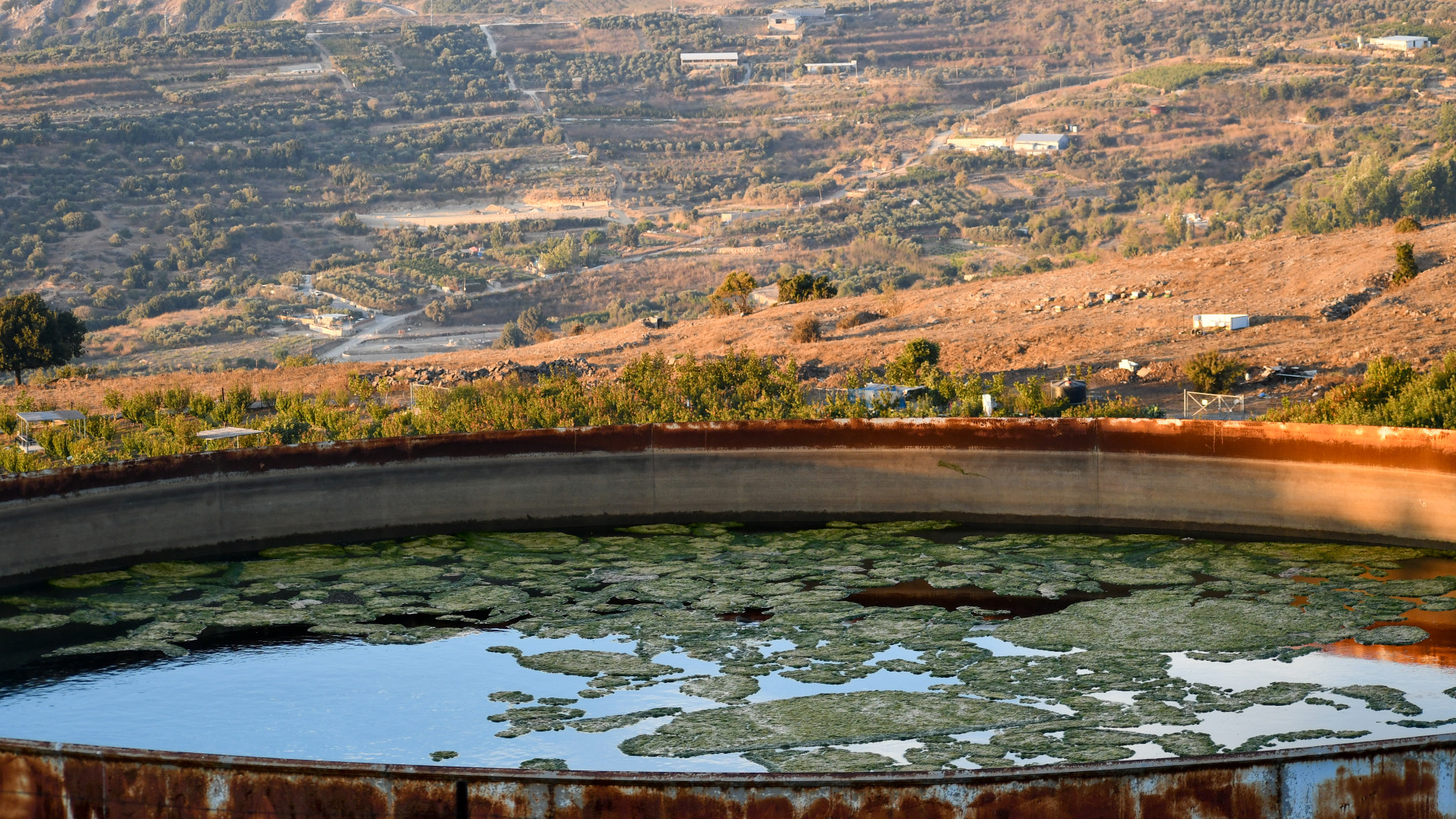 One of many tanks created by local farmers to gather rainwater for agricultural use in the Ra'abanah area of the Occupied Syrian Golan Heights, April 2020 